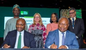 NSIA, Africa50 launch $300m fund to boost off-grid electricity access in Nigeria